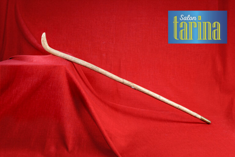Toisinaan hyvin tavalliselta näyttävä esine voi kertoa vahvaa tarinaa. Susi-Iitan kävelykeppi Halikon museon kokoelmasta.