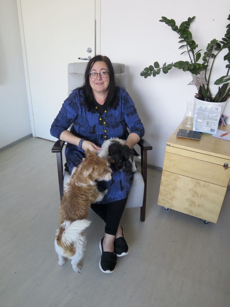 - Nämä ovat niin sanottuja Aina valmiina -koiria, Sari Pesonen nauraa Reinon ja Ainon puuhatessa jaloissa.
