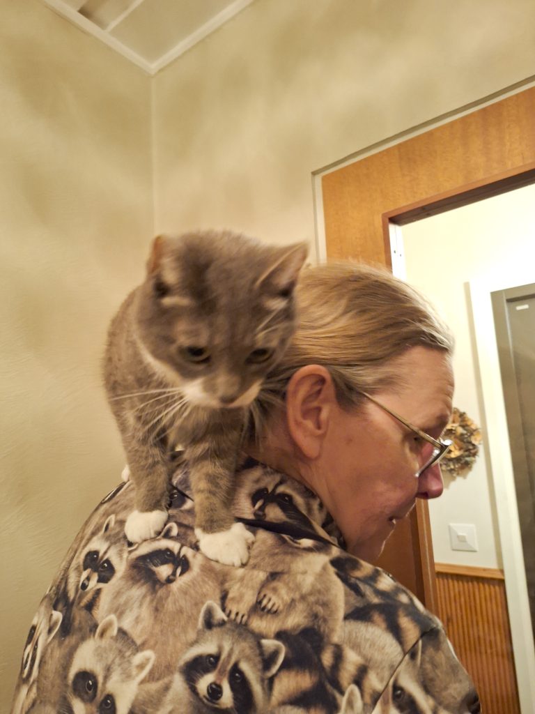 Sijaiskotivastaava Eija Vesterlund ja hänen kissansa Helmi Orvokki Neiti Kesäheinä. 