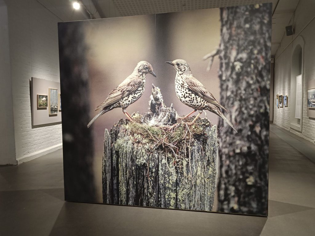 Luontotieto on laajasti esillä valokuvanäyttelyssä.