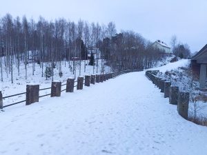 Vanhan kansanetymologian mukaan Halikon nimi tulee Hallista, muinaissuomalaisesta jumalasta, joka asui korkeilla vuorilla. Nimi Halikko olisi siten kuusikon tai koivikon tapainen sanamuodostelma.