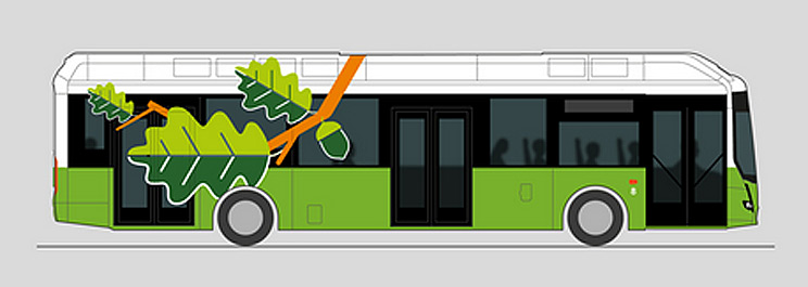 Vihreä väri ja tammenlehti ovat Paikun tunnusmerkkejä kaikissa vaihtoehdoissa.