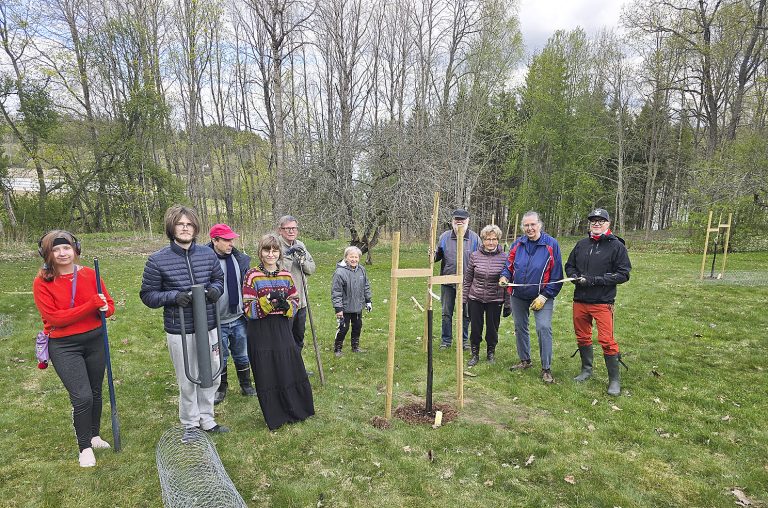 Muurlan opiston takapihalle rakennettu Kirsikkapuisto on tarkoitettu kaikkien iloksi.